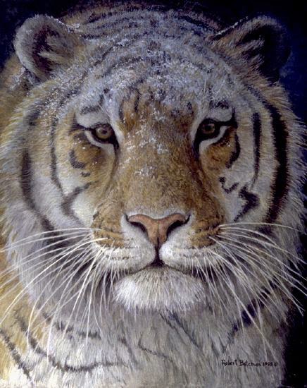 Artwork by Robert Bateman