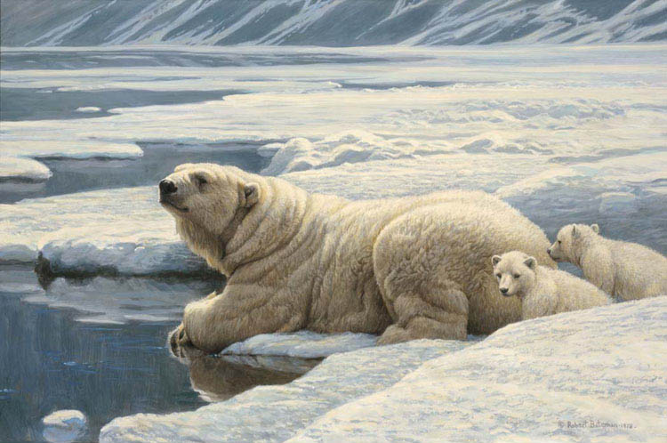 Artwork by Robert Bateman
