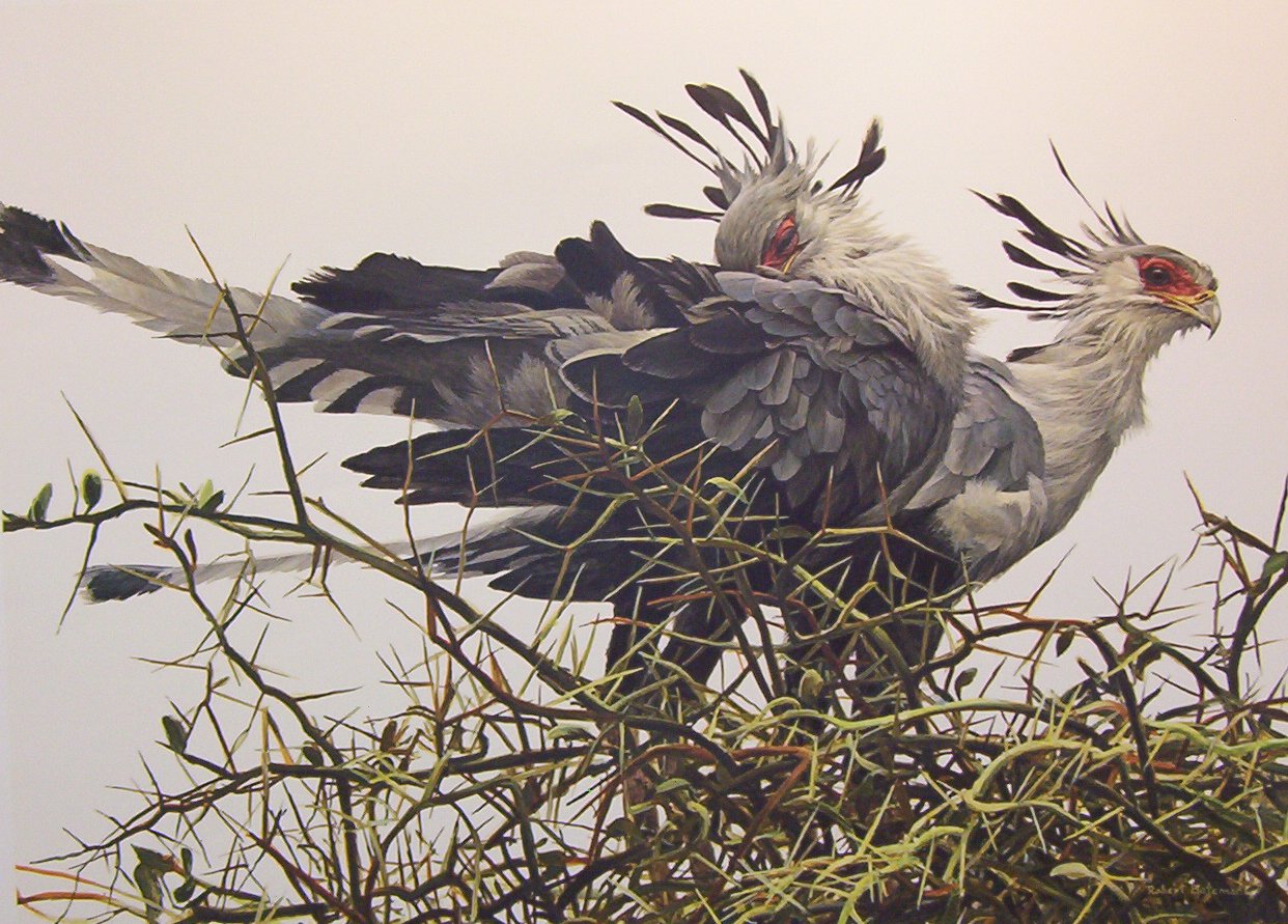 Artwork by Robert Bateman