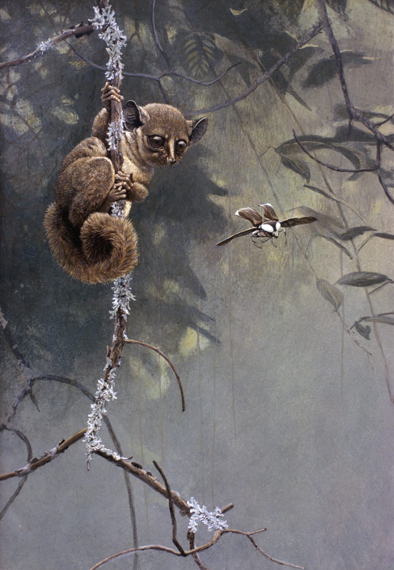 Artwork by Robert Bateman
