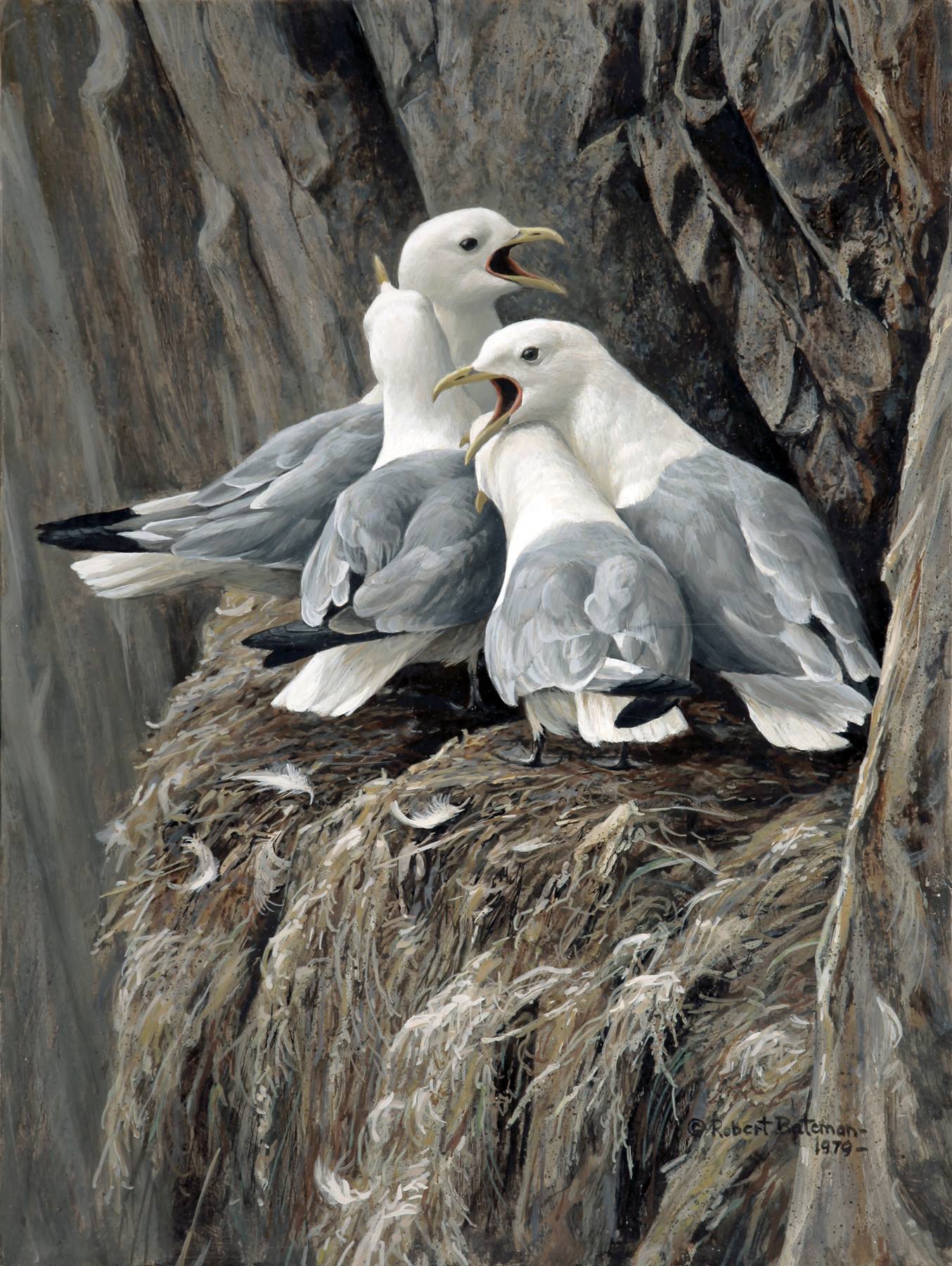 Artwork by Robert Bateman