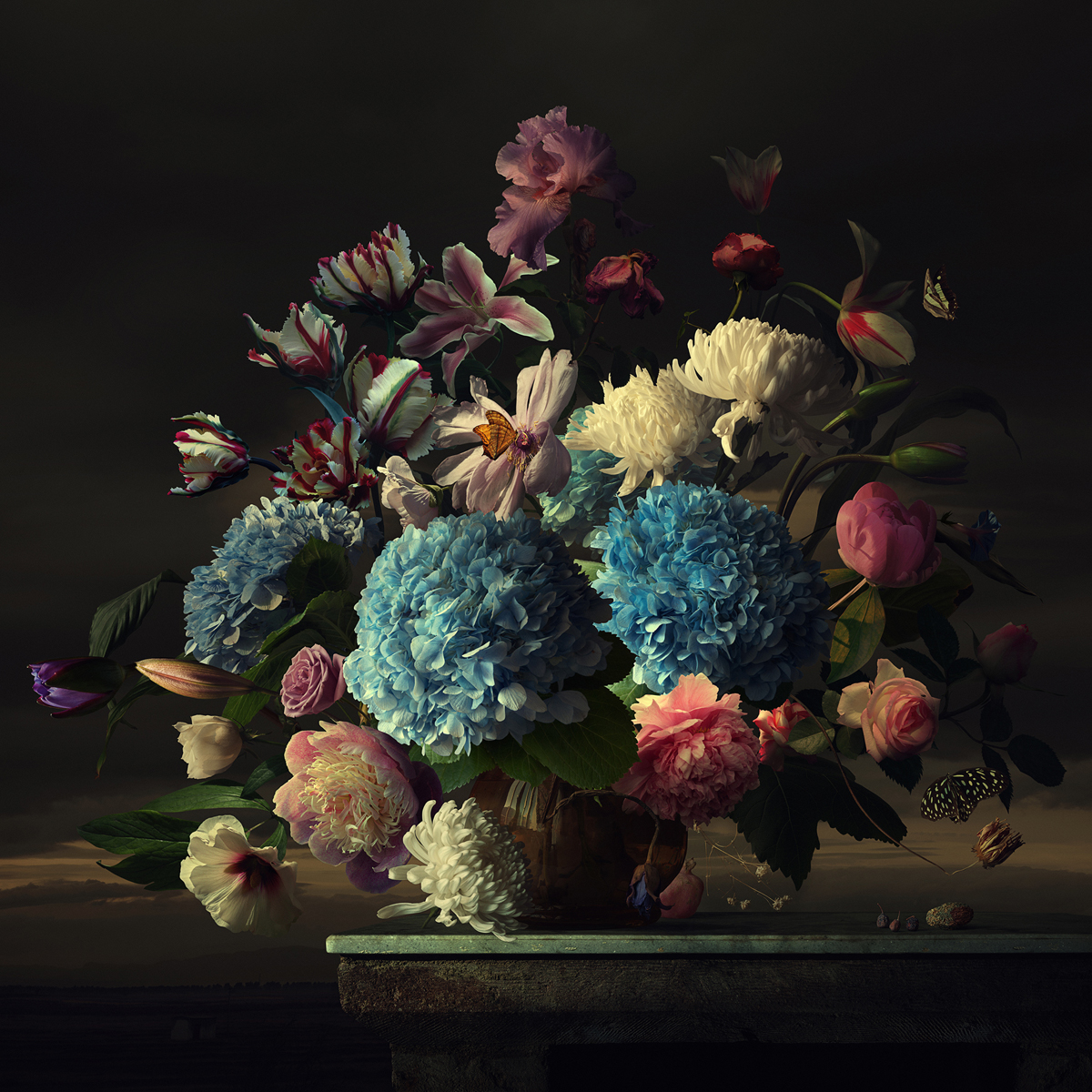 Still Life Photography by Yang Bin